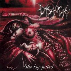 Disgorge (USA) : She Lay Gutted